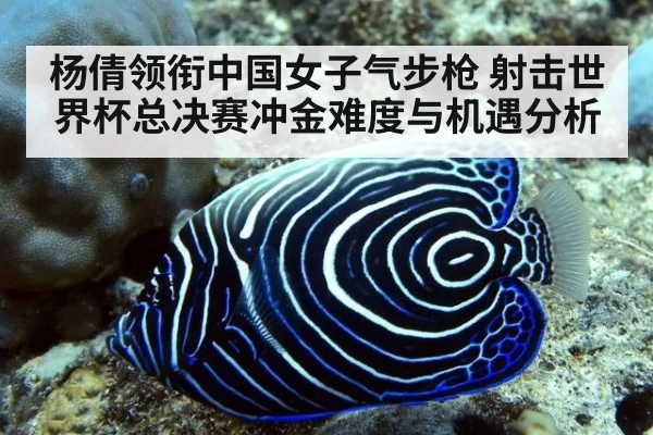杨倩领衔中国女子气步枪 射击世界杯总决赛冲金难度与机遇分析