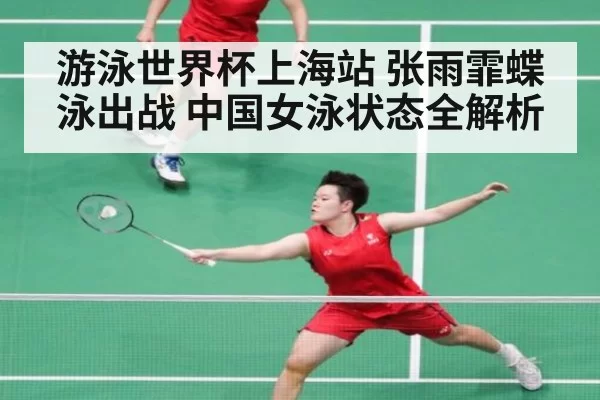 游泳世界杯上海站 张雨霏蝶泳出战 中国女泳状态全解析